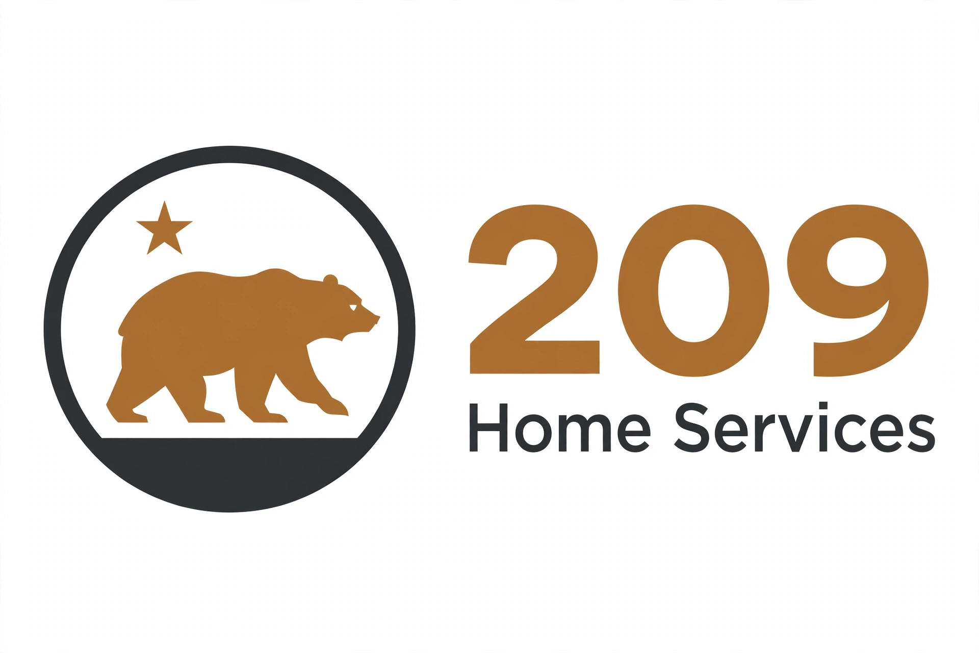 209 Home Services logo